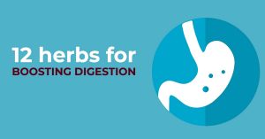 Best ayurvedic herbs for boosting digestion